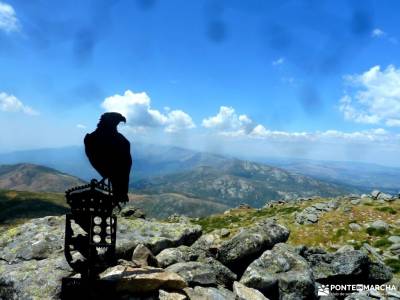 Gredos: Sierras del Cabezo y Centenera;atienza castillo cañon del rio mesa los almorchones queralbs